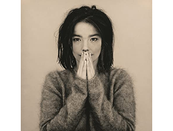 Vinyl CD c Bjork, оригинальный винил, Музыкальные раритеты, Постеры, Плакаты, Intpressshop