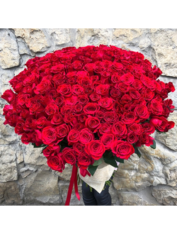 201 красная роза Голландия 80 см