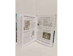 Василиса. Арктида-Атлантида. Вехи противостояния и ключи исцеления.