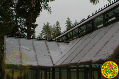 Английская теплица с холлом в английском стиле из стекла Йоркшир Сити Хол