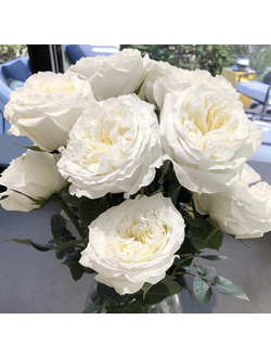 Майра Вайт (Mayra’s White)