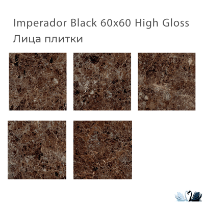 Керамогранит Staro Oasis Imperador Black 60х60 см глянцевый