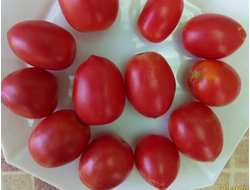 Томат Сахарная слива малиновая