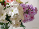 Букет "Phlox".