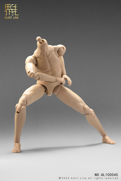 Тело с шеей, кистями и стопами - Male body (AL100045) - Alert Line