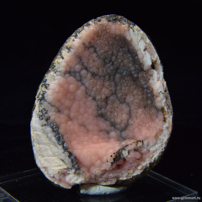 Родохрозит  в полости ракушки. 58*47*23мм