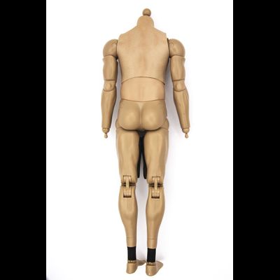 Тело DAMTOYS 1/6 (78063) - DAMTOYS