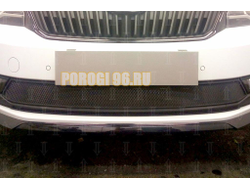 Защита радиатора Skoda Rapid 2017- (2 части) black