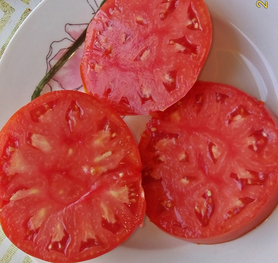 Томат Минусинский от Балуева