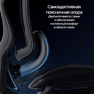 Ортопедическое кресло SIHOO Doro C300 Pro | чёрное