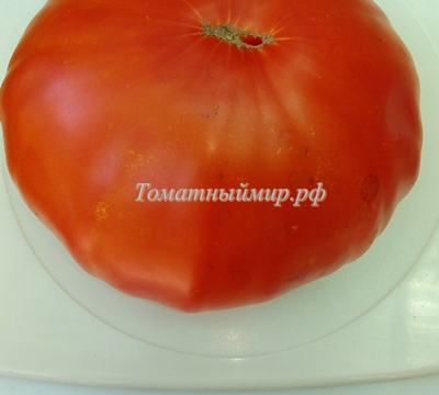 Томат Красный гигант