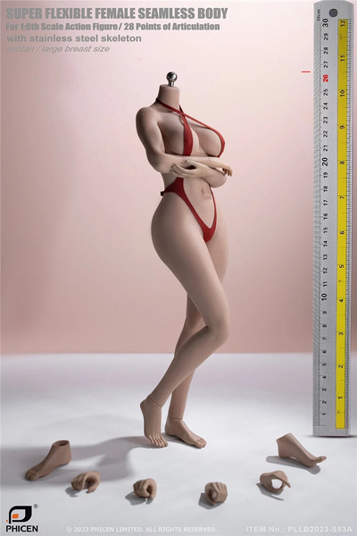 Супер-подвижное бесшовное женское тело с головой (ТЕЛОИД) 1/6 PLLB2020-S53  Super Flexible Seamless Female Body Figure - PHICEN (TBLeague)