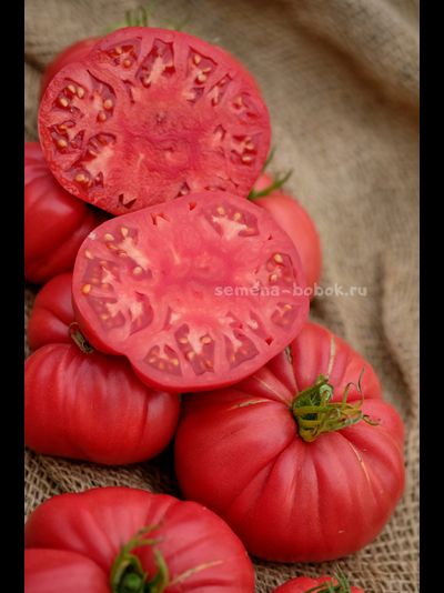 Томат Чалма Агры, 10 шт