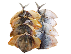 Императорский полосатик "Астраханкина рыбка"