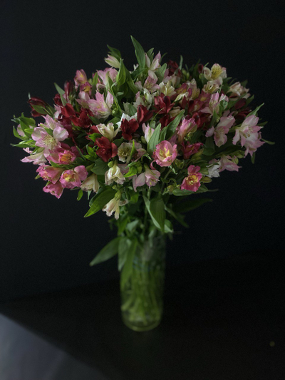 Альстромерия 35 шт