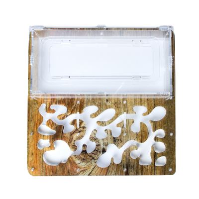 Комплект муравьиной фермы 4ants Antrum XL дерево  с муравьями Messor Structor