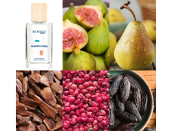 EX Nihilo Generation(s)