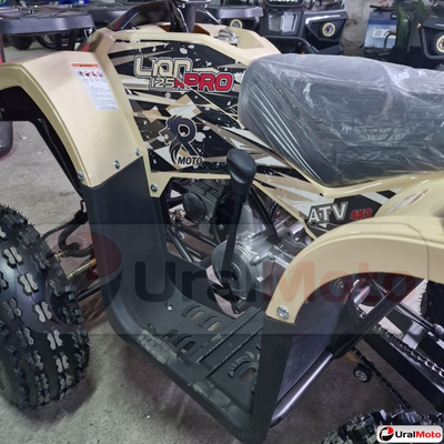 Квадроцикл Rmoto Lion 125 R PRO