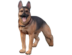 Немецкая овчарка (Служебная собака) - Коллекционная ФИГУРКА 1/6 scale German Shepherd (AS003) - DID