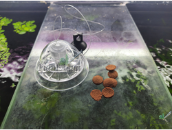 Swetaqua Snail collect S - Ловушка улиток 6см