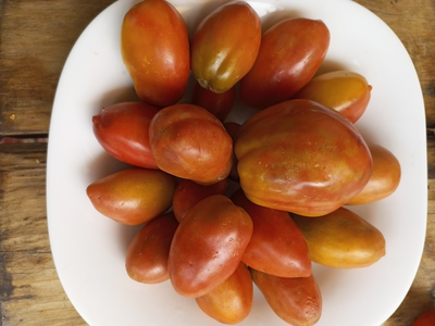 Гном Альмандин (Dwarf Almandine)