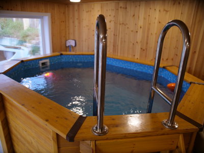 Деревянный бассейн (купель) овальный 2,8 х 2,0 м глубина 120 см