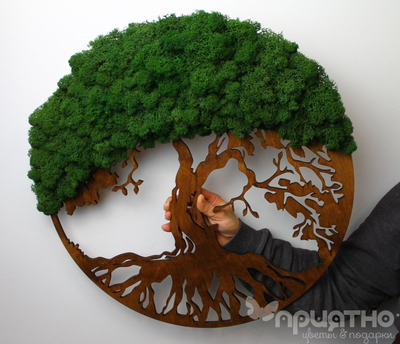 Живая Эко-Картина 1073