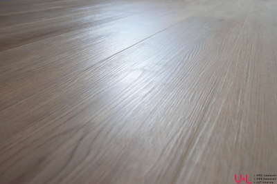 Кварцвиниловая плитка Damy Floor Family LVT Дуб Натуральный / Natural Oak 6607-9