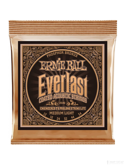 Ernie Ball 2546 Everlast Phosphor Bronze (12-54)