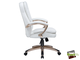 Офисное кресло для руководителей DOBRIN DONALD, белый