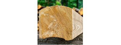 Брусопрофилирующий станок MP100 Wood-Mizer, от