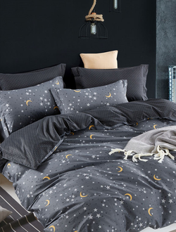 Постельное белье TANGO комплект сатин двуспальный 180x210x1 220x245x1 70x70x2 TS02-X113-70