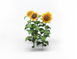 MiniWarPaint: Подсолнухи. Размер "M"