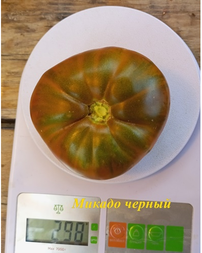 Томат Микадо черный