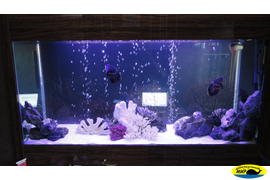 Аквариум стильный