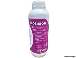 Молибион (от 50мл до 1л)