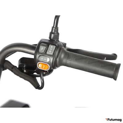 Электротрицикл Wanshida LC300 60V 1000Вт зеленый