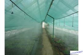 Туман НД для черенкования