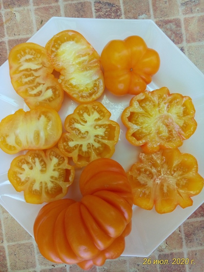 Томат Веселая соседка