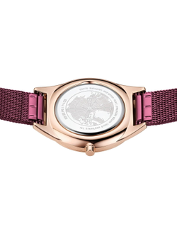 Наручные часы Bering 17031-969