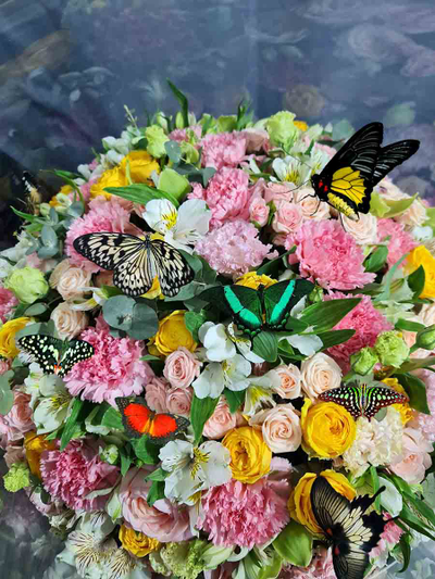 Огромный букет с бабочками №97