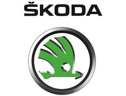 Диагностическая карта техосмотра для Шкода (Skoda)