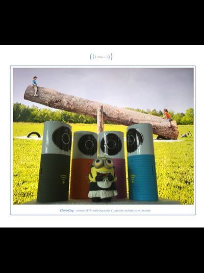 Видеоняня /WiFi видеокамера CleverDog с DVR
