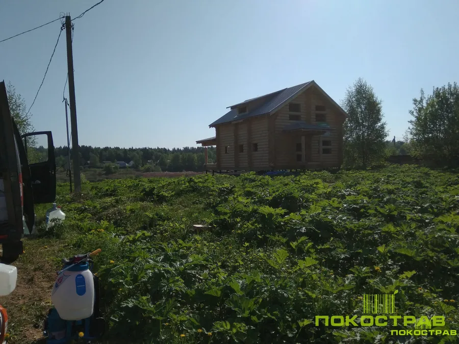 На момент обработки