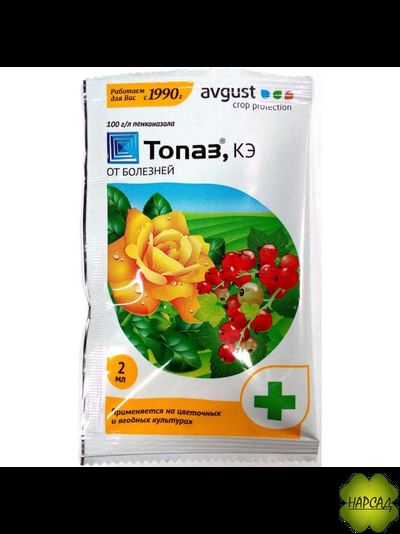 ТОПАЗ (ОТ БОЛЕЗНЕЙ)