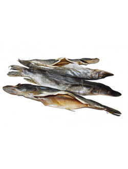 Щука вяленая (отборная)