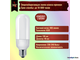 Philips Exterieur Ecotone 9w 827 E27