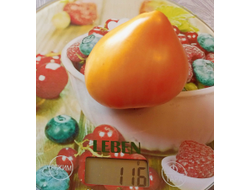 Томат Пастельное оранжевое сердце (Pastel Orange Heart)