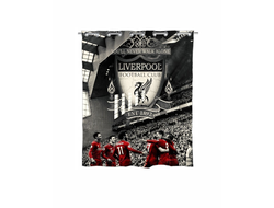 Штора в ванную Ливерпуль, Liverpool FC №7
