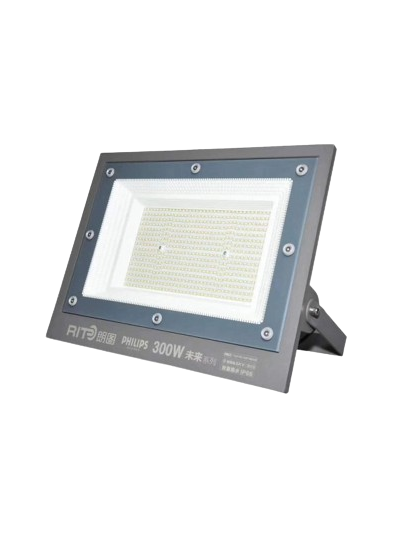 Прожектор светодиодный CDCS-WL-300W